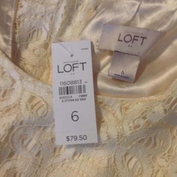 Ann Taylor Loft - NWT - dress - Picture 3 of 3